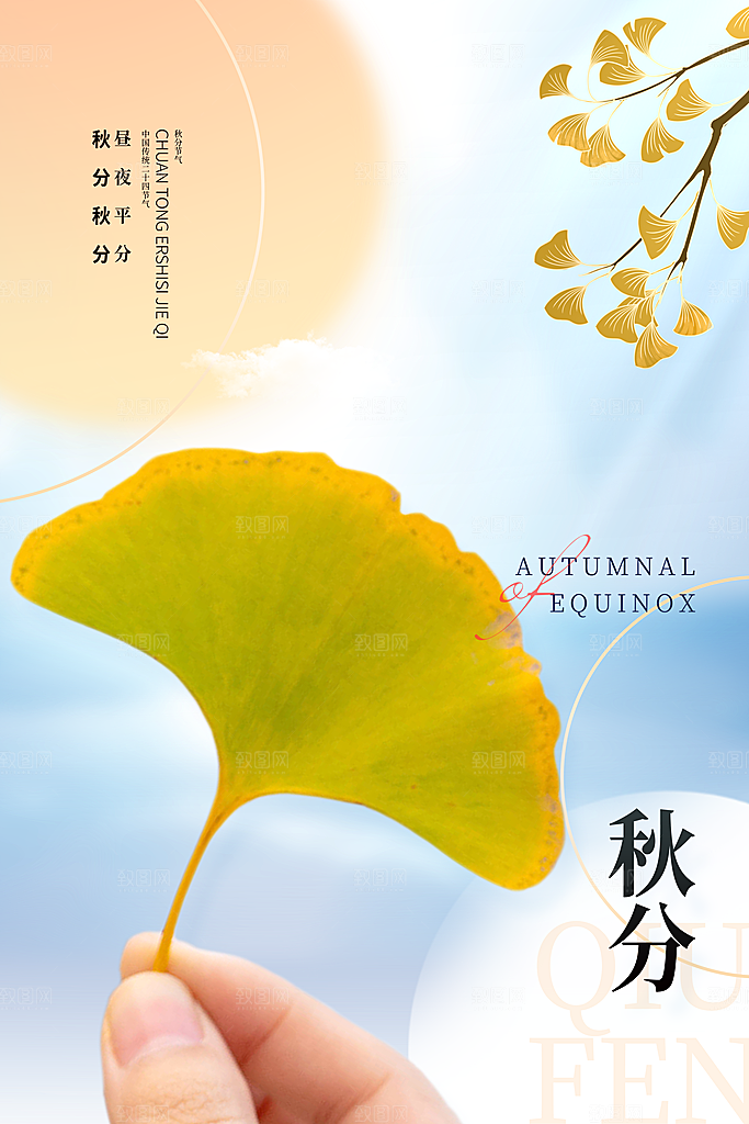 秋分节气简约大气海报
