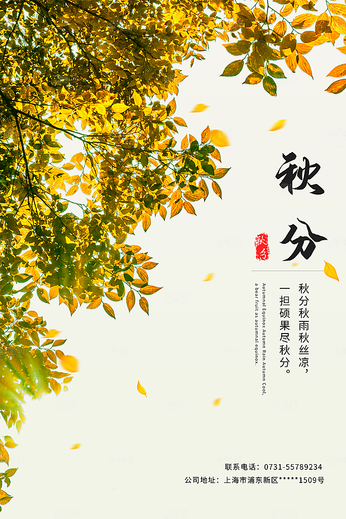 秋分节气简约大气海报