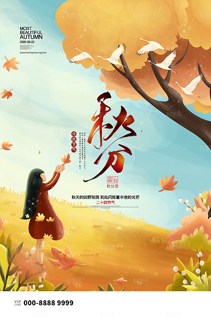 秋分节气简约大气海报