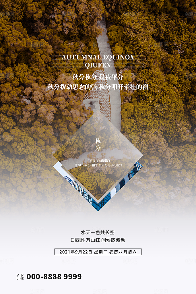 秋分节气简约大气海报