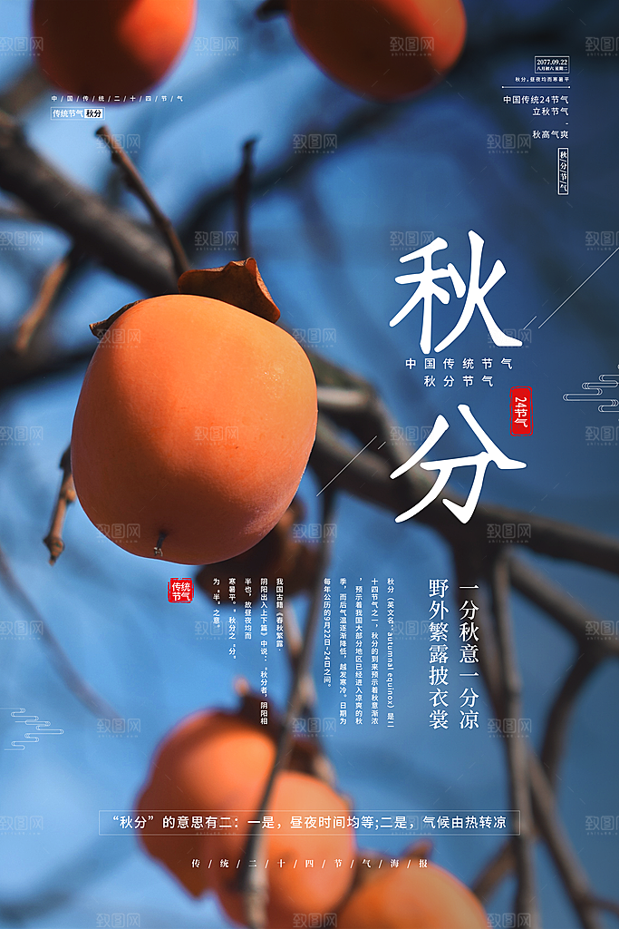 秋分节气简约大气海报