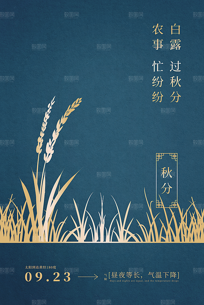 秋分节气简约大气海报