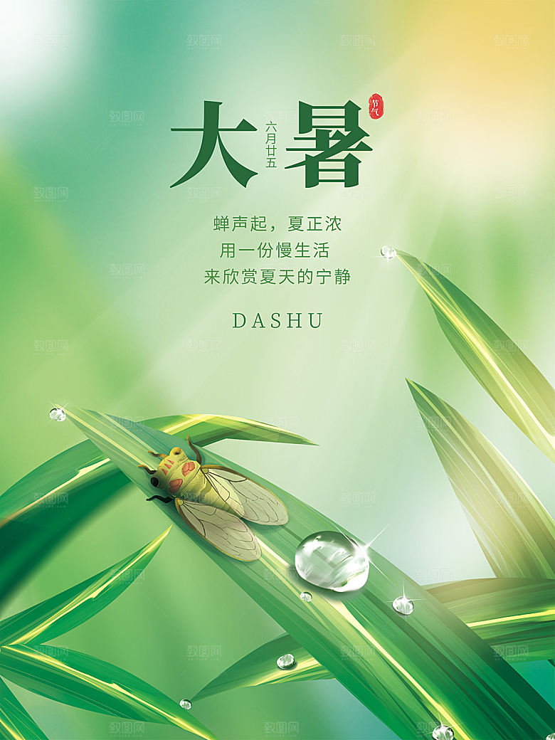 传统节气大暑海报模板