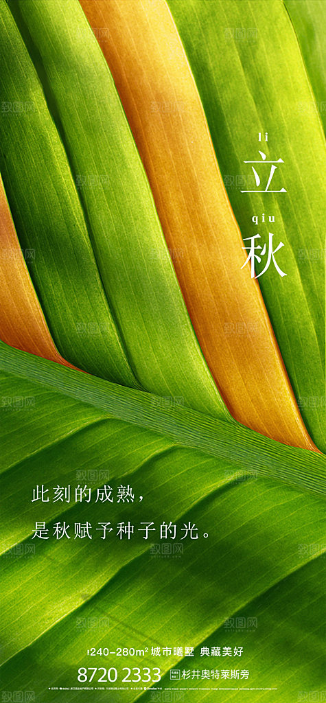 立秋节气简约大气海报