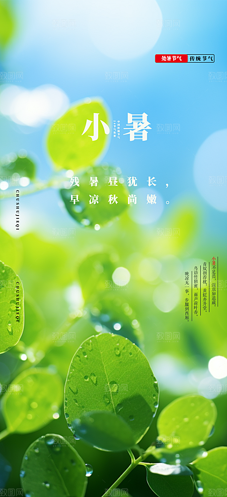 二十四节气小暑宣传活动海报