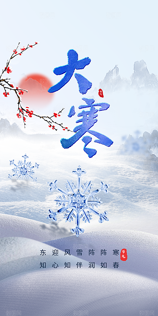 二十四节气大寒宣传海报