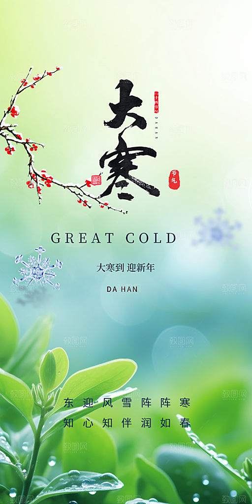 二十四节气大寒宣传活动海报