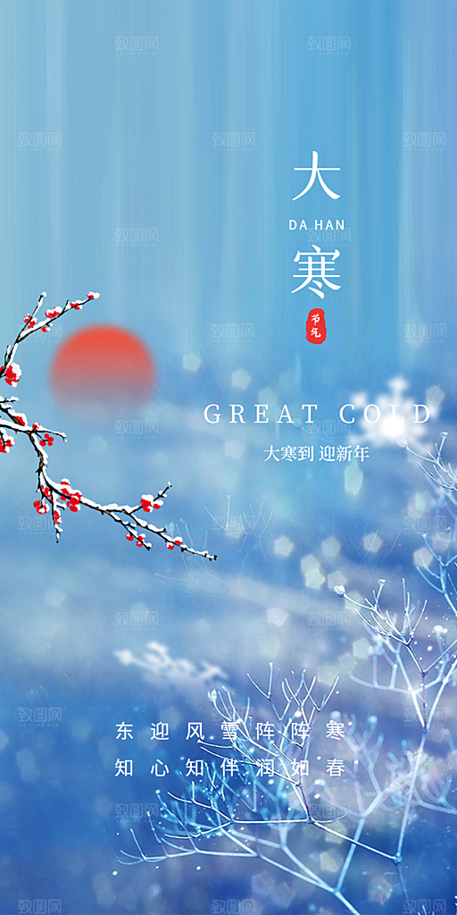 二十四节气大寒宣传活动海报