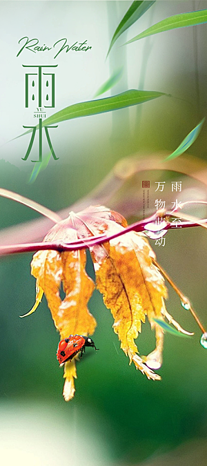 大气传统雨水二十四节气海报