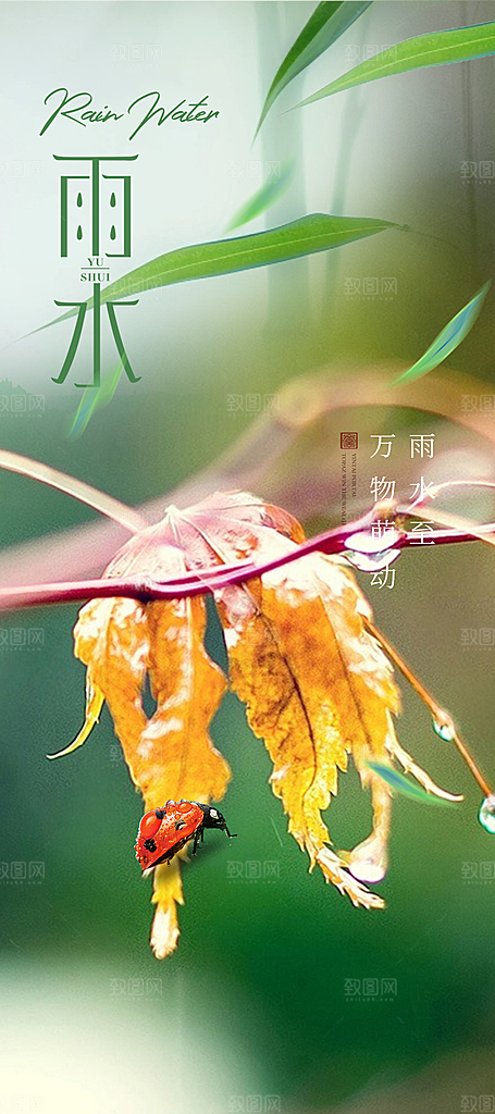 大气传统雨水二十四节气海报
