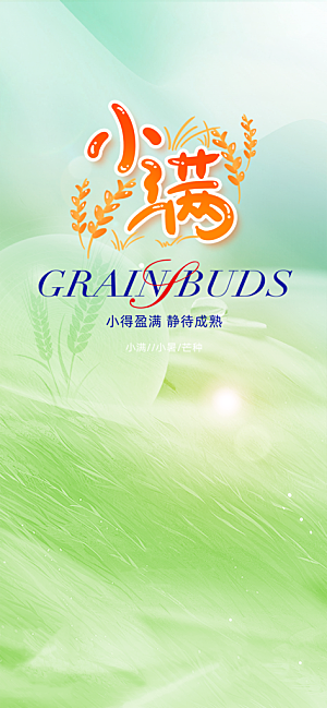 小满二十四节气海报