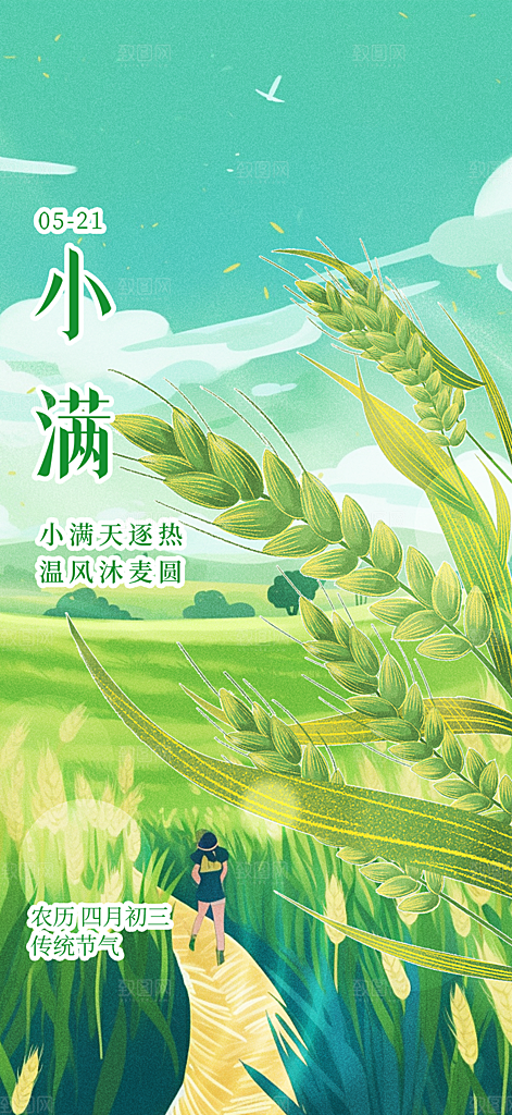 传统小满二十四节气海报
