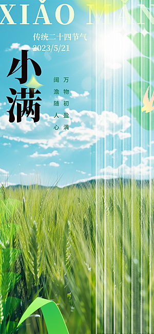 传统小满二十四节气海报