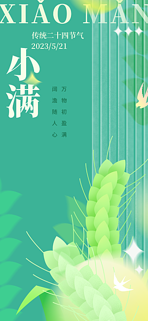 传统小满二十四节气海报