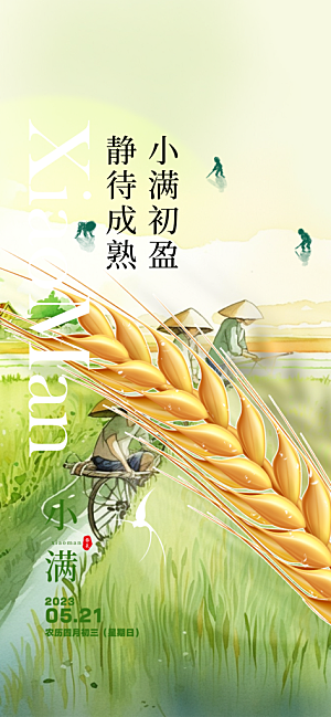 传统小满二十四节气海报