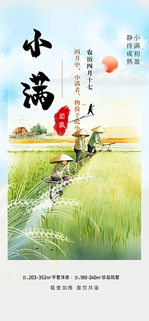 传统小满二十四节气海报