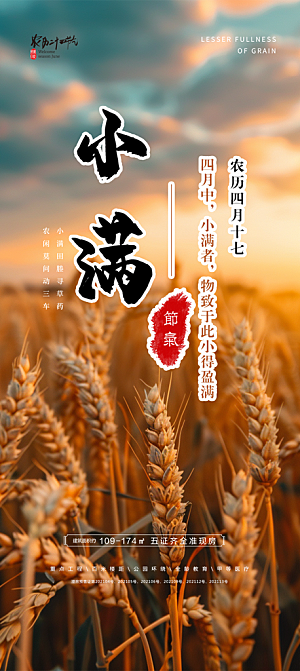 传统小满二十四节气海报