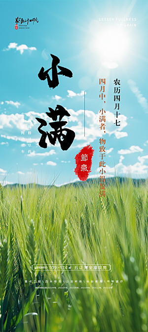 传统小满二十四节气海报
