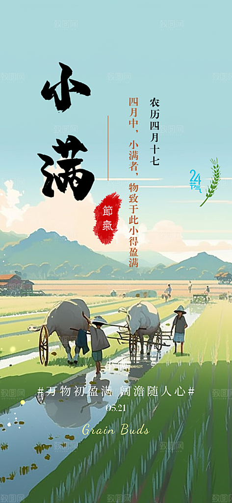 传统小满二十四节气海报