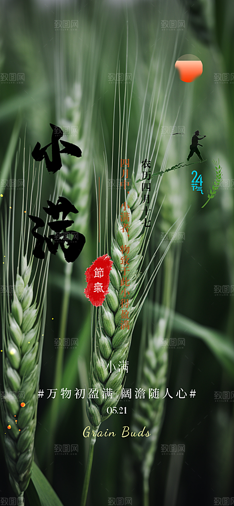 传统小满二十四节气海报