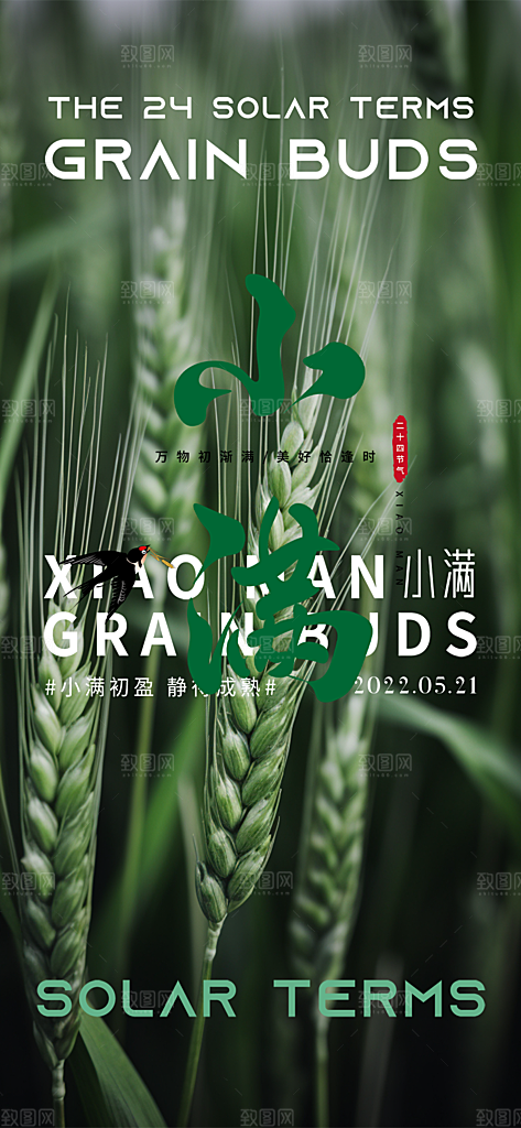 传统小满二十四节气海报