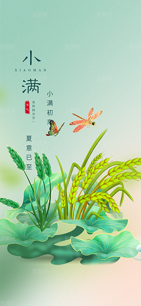 绿色小满二十四节气海报