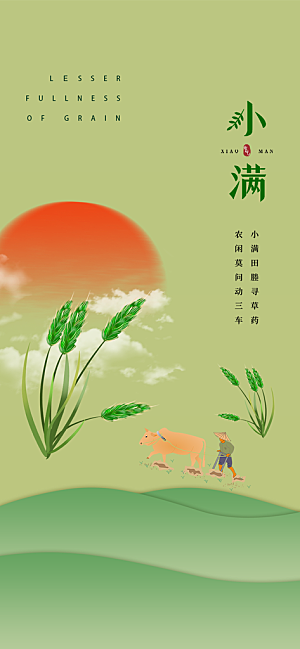 小满二十四节气海报