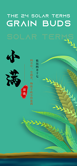 小满二十四节气海报
