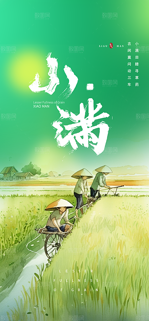 小满二十四节气海报