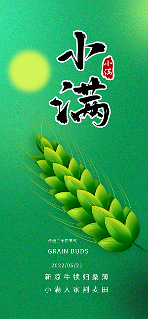 小满二十四节气海报
