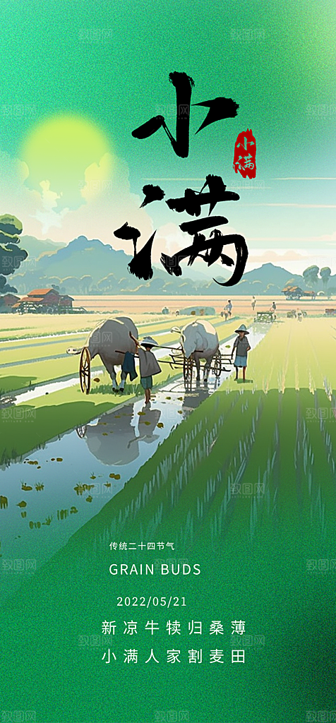 小满二十四节气海报