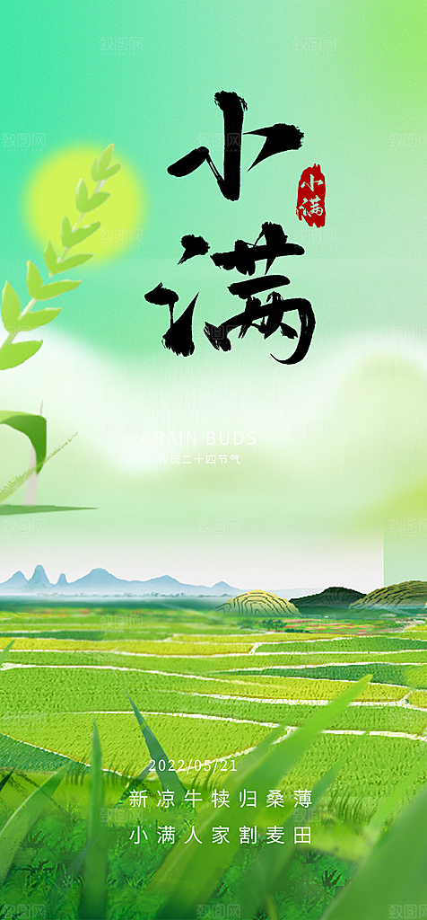 小满二十四节气海报