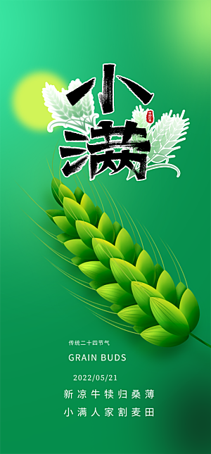小满二十四节气海报