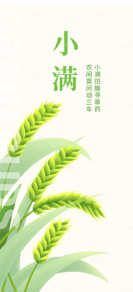 小满二十四节气海报