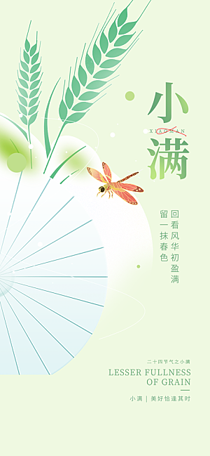 小满二十四节气海报