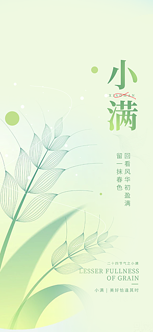 小满二十四节气海报