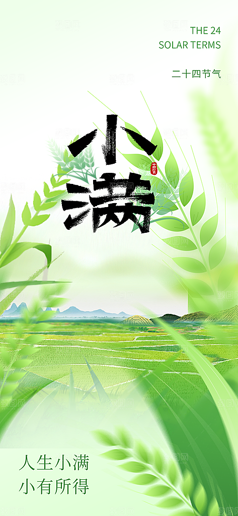 小满二十四节气海报
