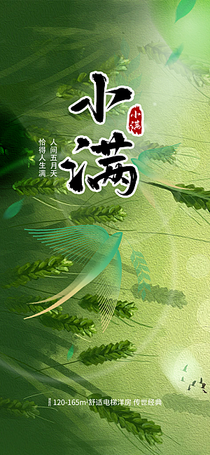 小满二十四节气海报