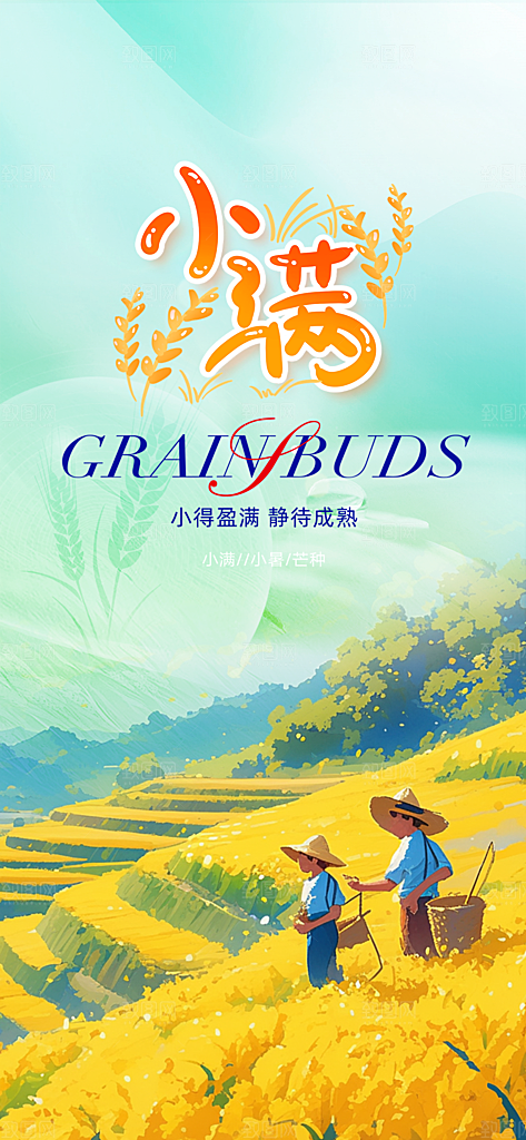 传统小满二十四节气海报