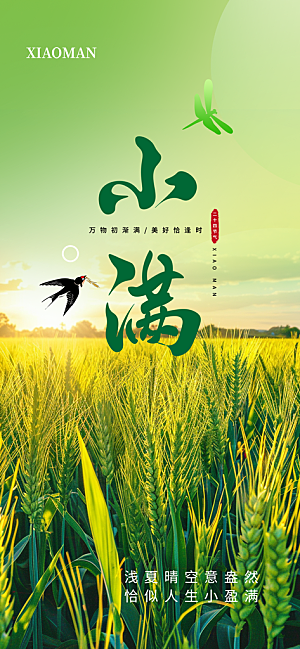 传统小满二十四节气海报