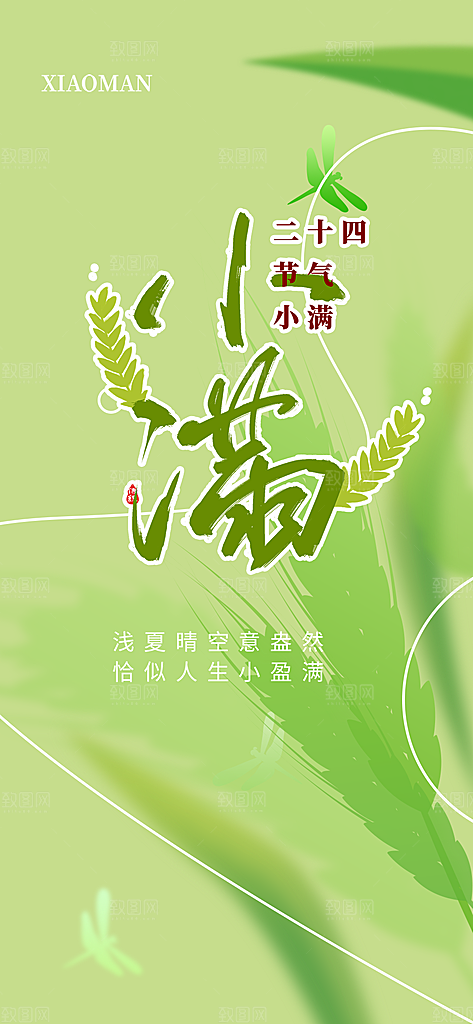传统小满二十四节气海报