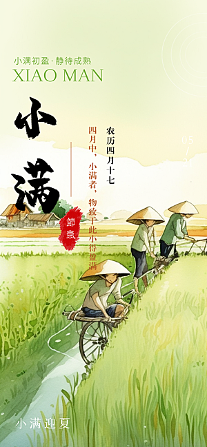 传统小满二十四节气海报