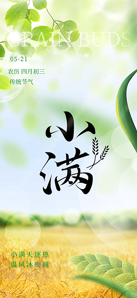传统小满二十四节气海报