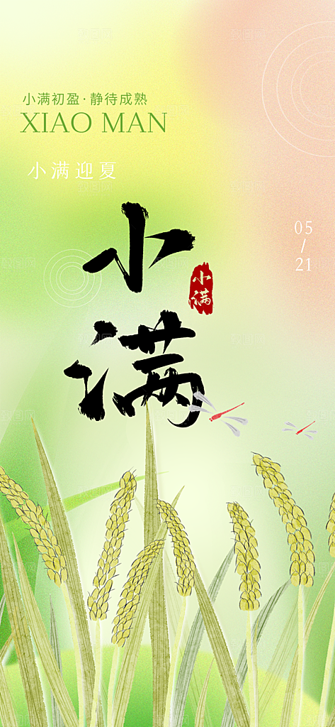传统小满二十四节气海报