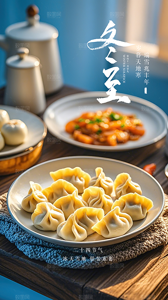 冬至简约节气唯美插画节日大气海报