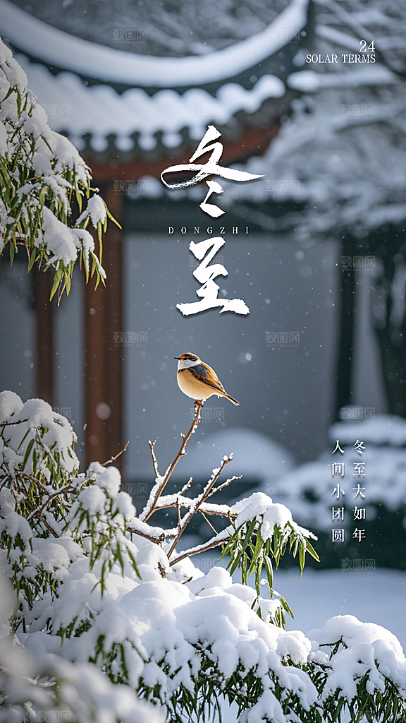 冬至唯美节日简约插画节气大气海报