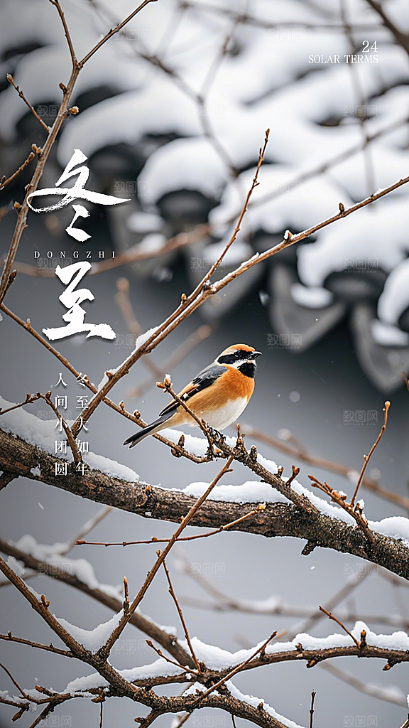 冬至唯美节日简约插画节气大气海报