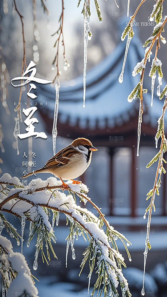 冬至唯美节日简约插画节气大气海报