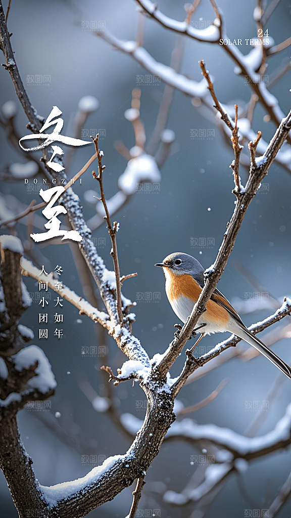 冬至唯美节日简约插画节气大气海报