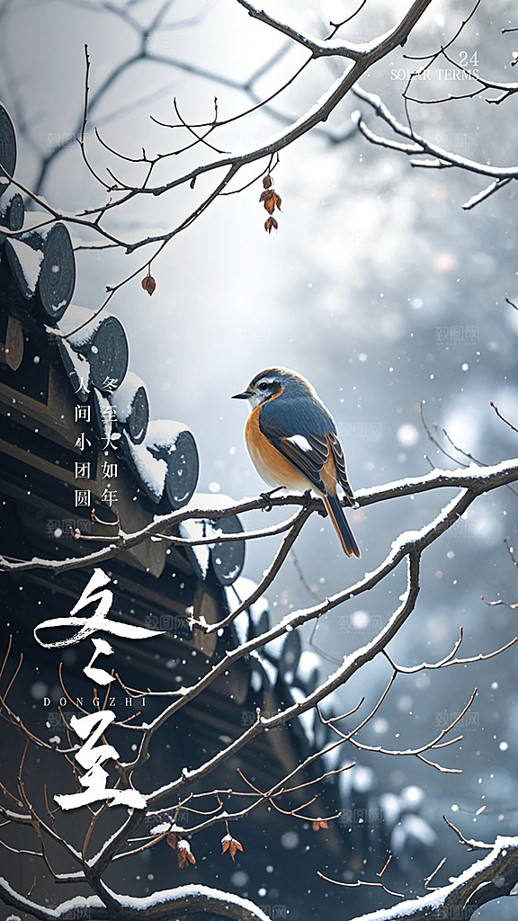 冬至唯美节气插画节日简约大气海报